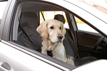 Flamingo Cover-up Front Car Seat Cover - OS